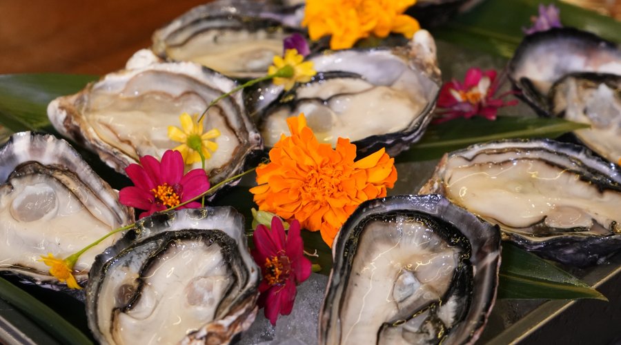 Oyster