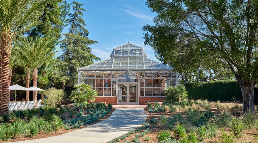 The Cove Pool, Kitchen & Bar  Greenhouse
