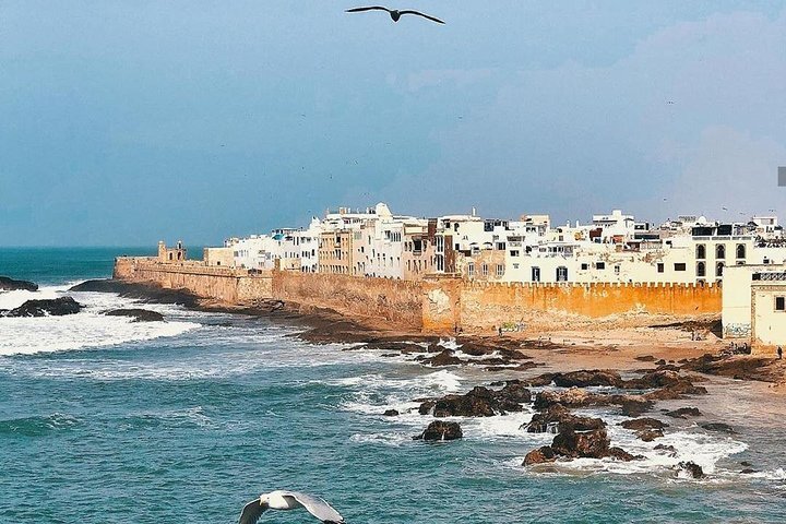 Uncover Hidden Gems taxi marrakech to essaouira - Exploring Essaouira's Beaches and Nature