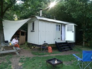 Room & Suite