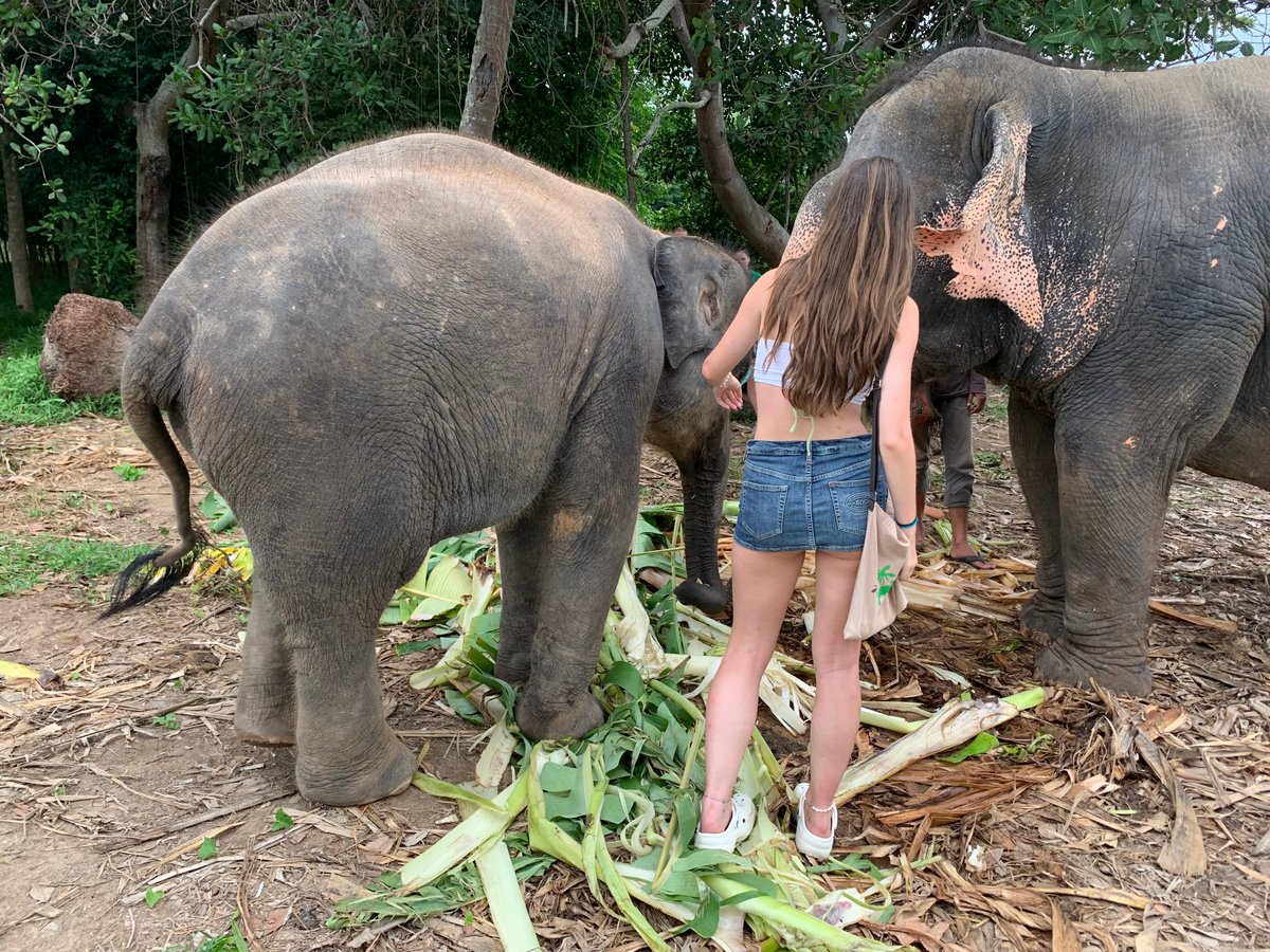 Samui Elephant Home - All You Need to Know BEFORE You Go (2024)