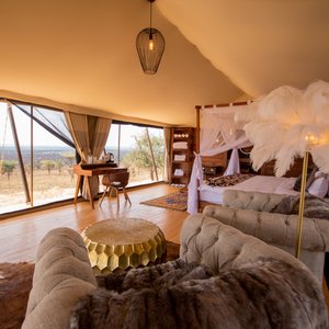 Luxury Ensuite Room View with Opened Canvas showing the Savannah View