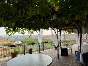 Seyahat Eden