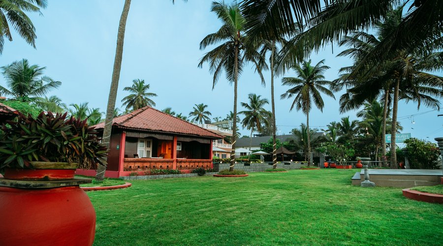 Lawn area - Functions area