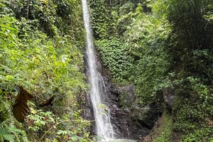 Wisatawan