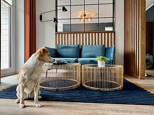 Stay in Luxury Rooms amp Suites The Langham Chicago