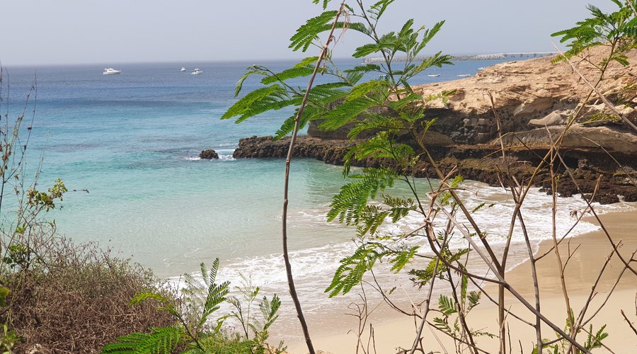 Beach near the hostel