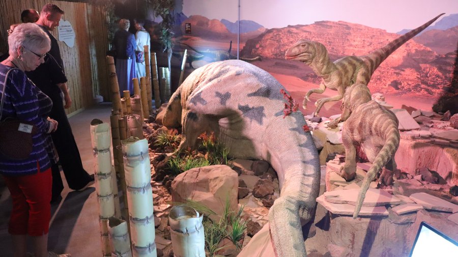 Visitors with raptors