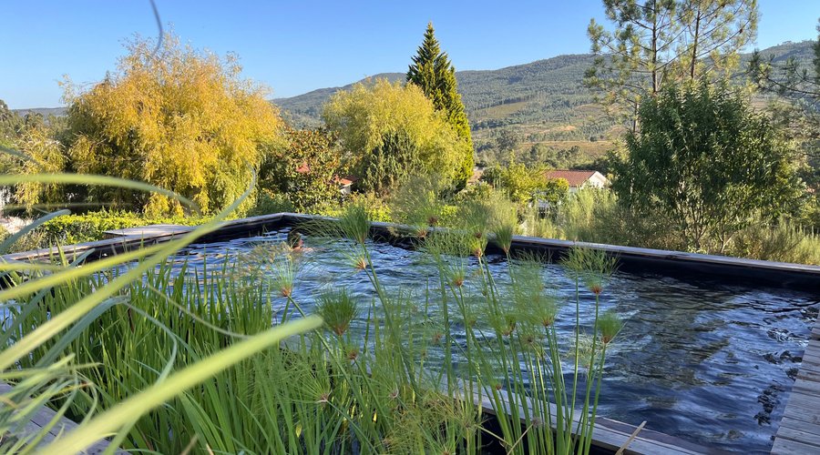 Experience NATURA NATURA’s Biological Pool  At NATURA NATURA, we blend luxury with sustainability. Our unique biological pool uses natural filtration and aquatic plants to keep the water pure and crystal clear, providing a refreshing and eco-friendly swimming experience.