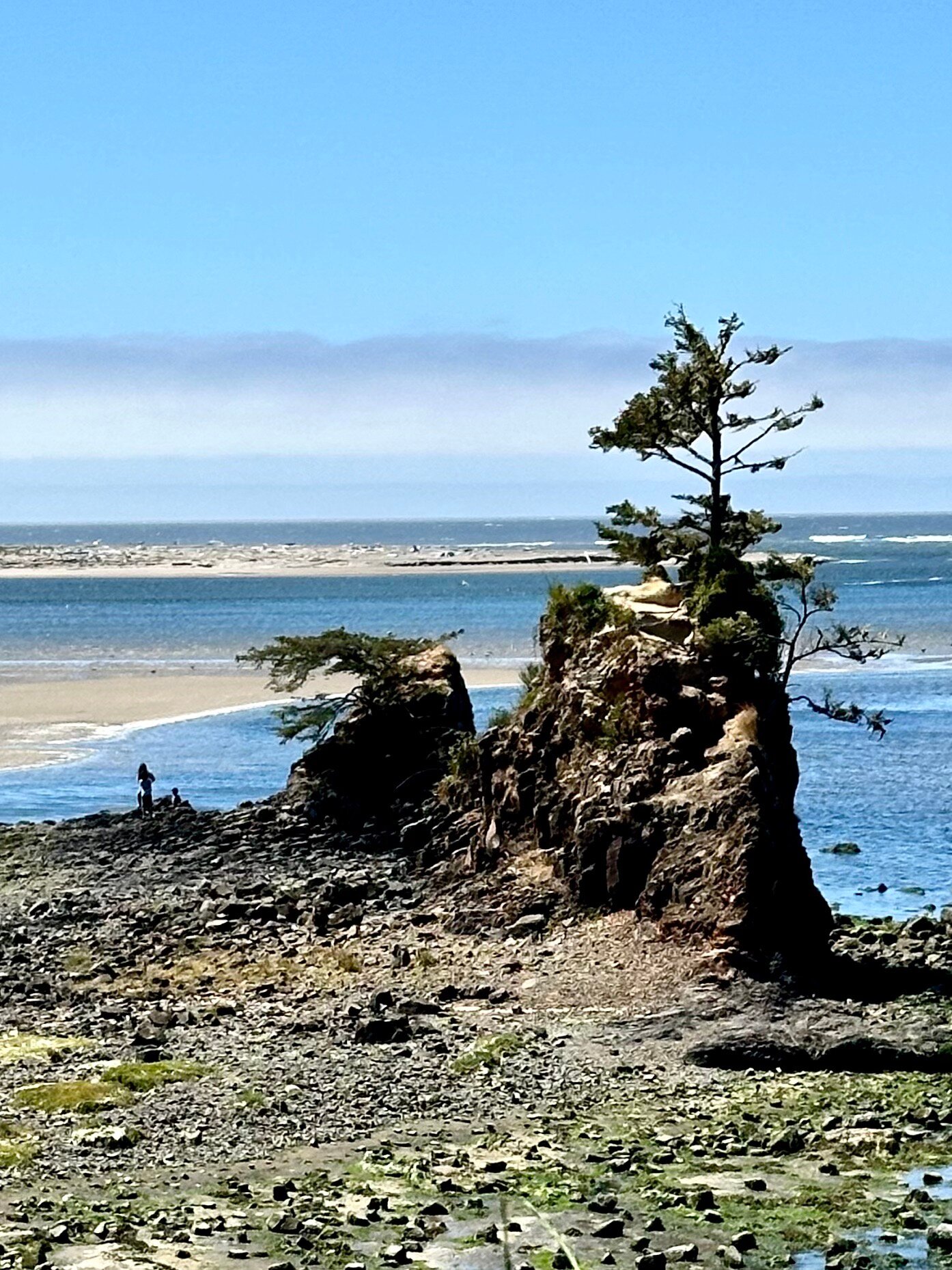 God's Ray of hotsell Siletz Bay Oregon