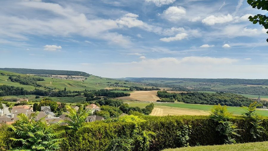 Mooi uitzicht op de groene landerijen