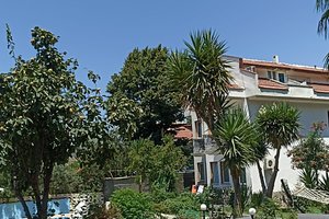 Seyahat Eden