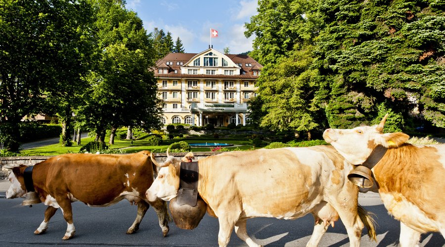 Le Grand Bellevue Summer