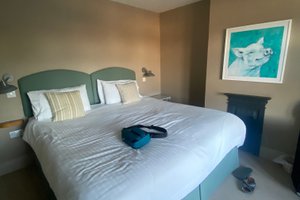 Room & Suite