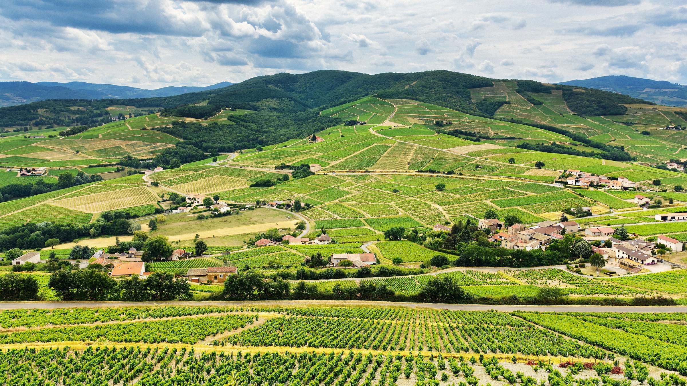 5 Affordable Wine Regions To Visit even If You Aren t A Wine Pro 5-affordable-wine-regions-to-visit-even-if-you-aren-t-a-wine-pro
