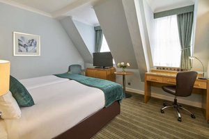 Room & Suite
