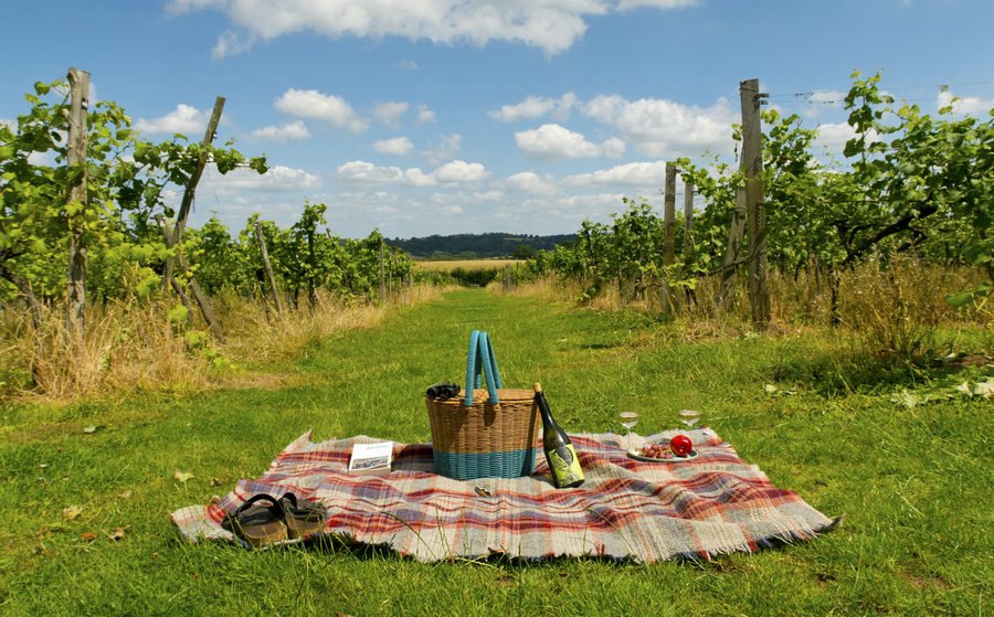 Picnic time as Astley Vineyard