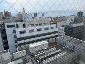 旅行者の写真