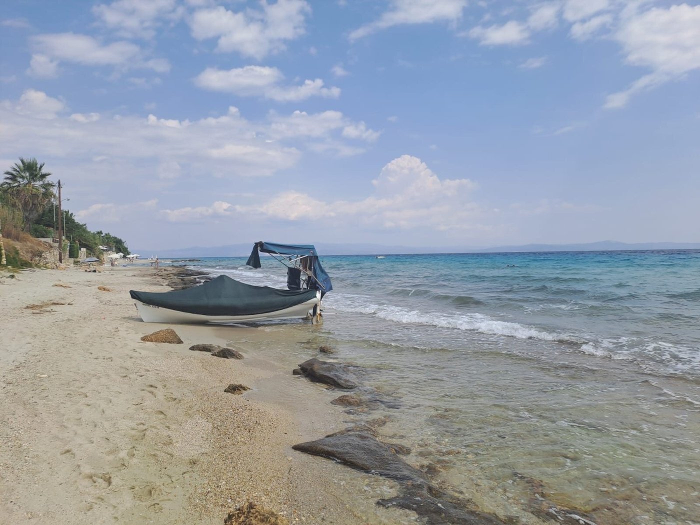 Petrino Suites Hotel Shuttle Bus Service: Pictures & Reviews - Tripadvisor