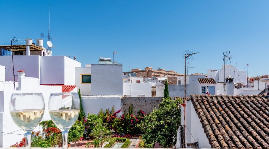 Terraza Suite Deluxe 9