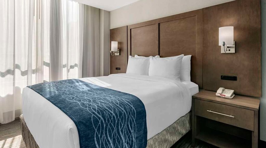 Guest room with one bed