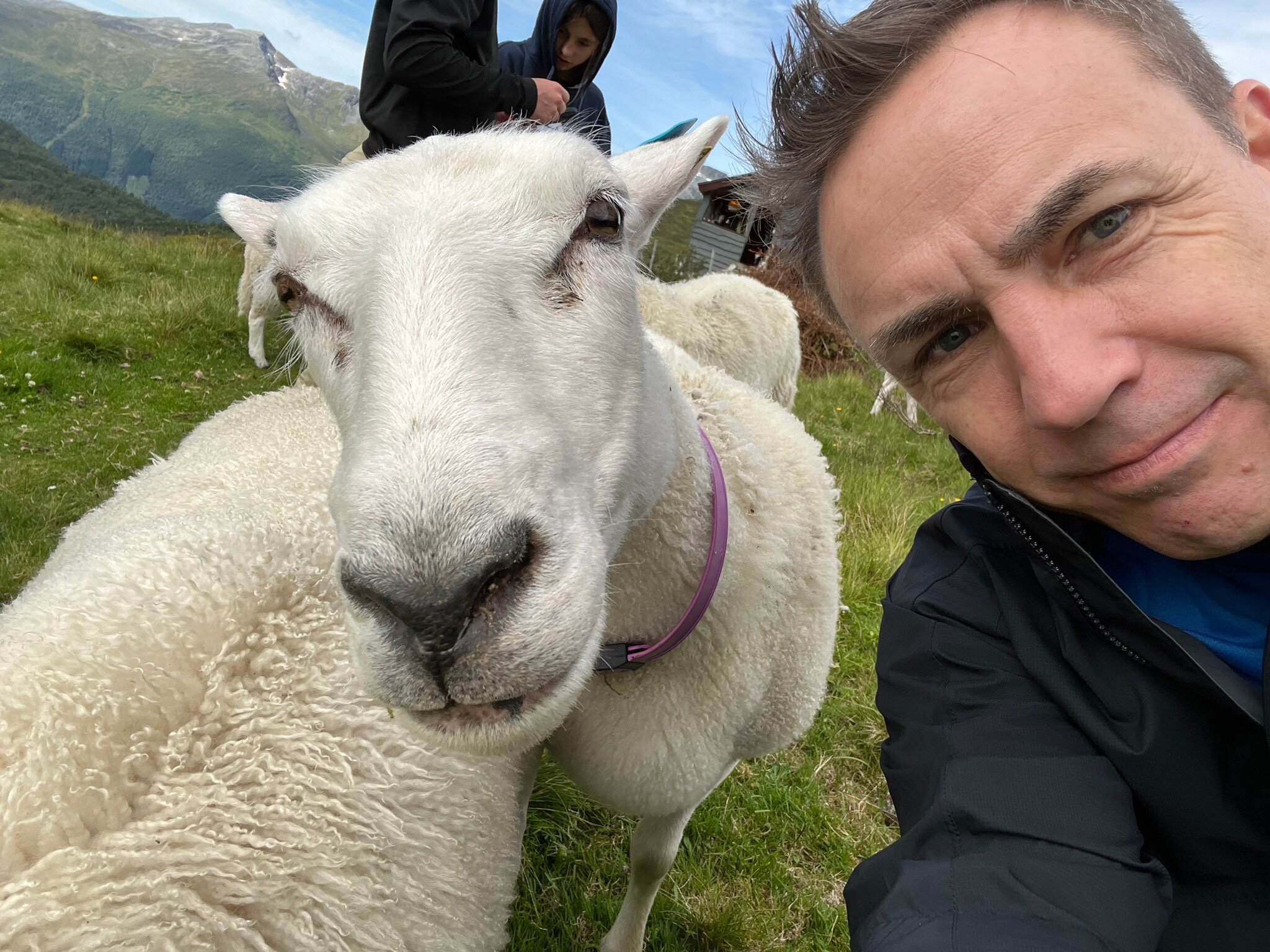 Uteguiden Ålesund Adventure Centre (Alesund) - Alles Wat U Moet Weten ...