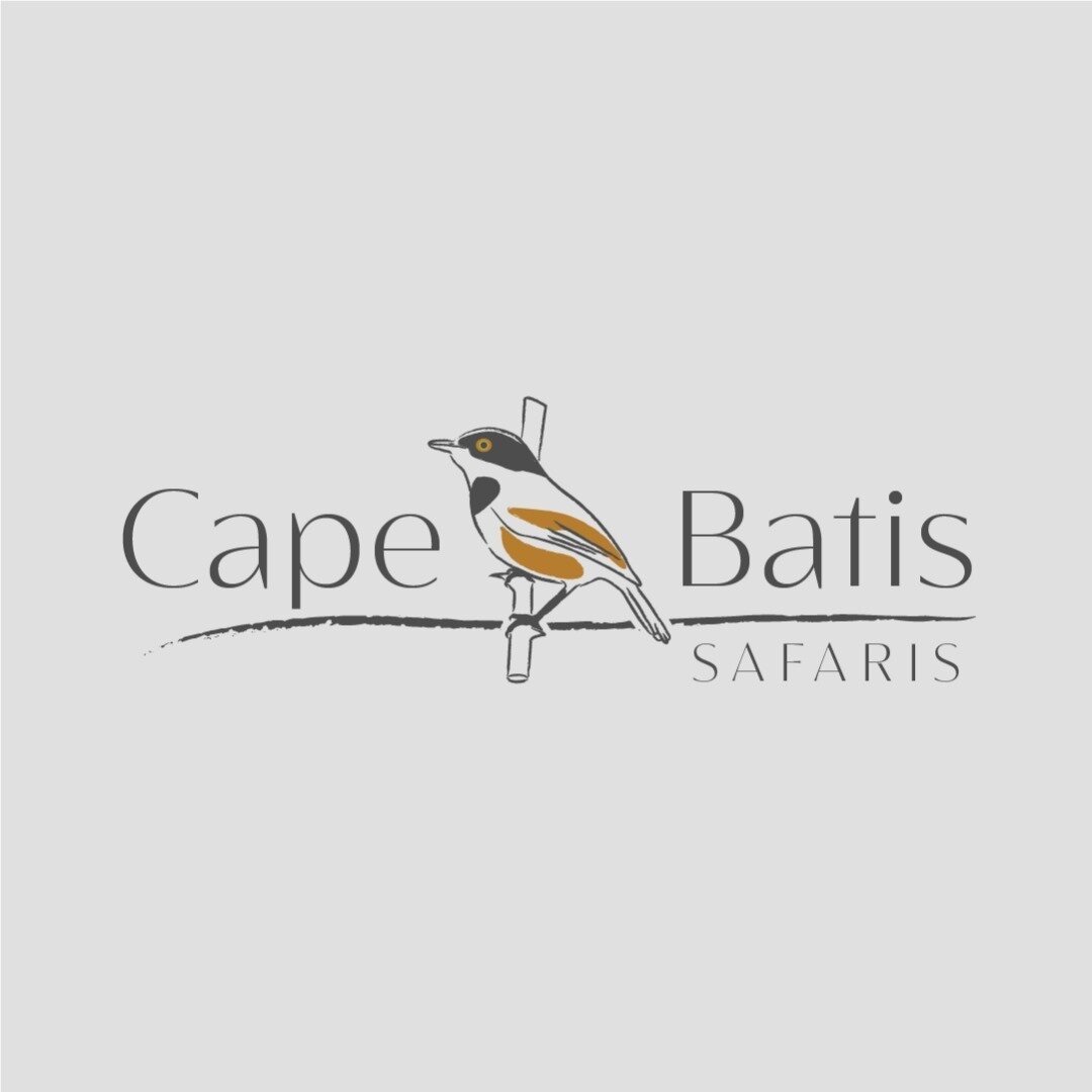 CAPE BATIS SAFARIS (Cataratas Victoria) - Qué SABER antes de ir