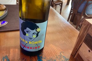 Bebidas
