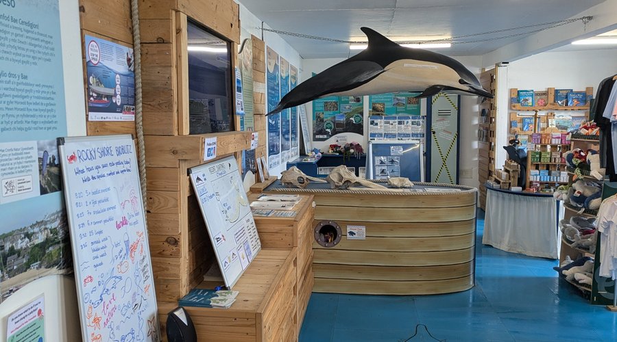We have lots of information about our local wildlife which includes The Big 3; bottlenose dolphins, harbour porpoise, and Atlantic grey seals, as well as many other marine animals.