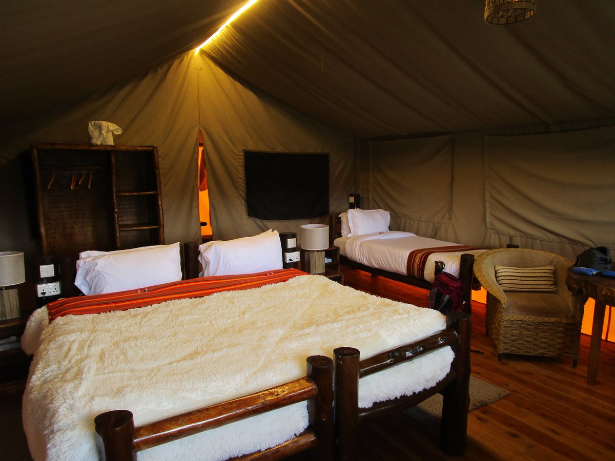  Best Kenya Safari Packages  thumbnail