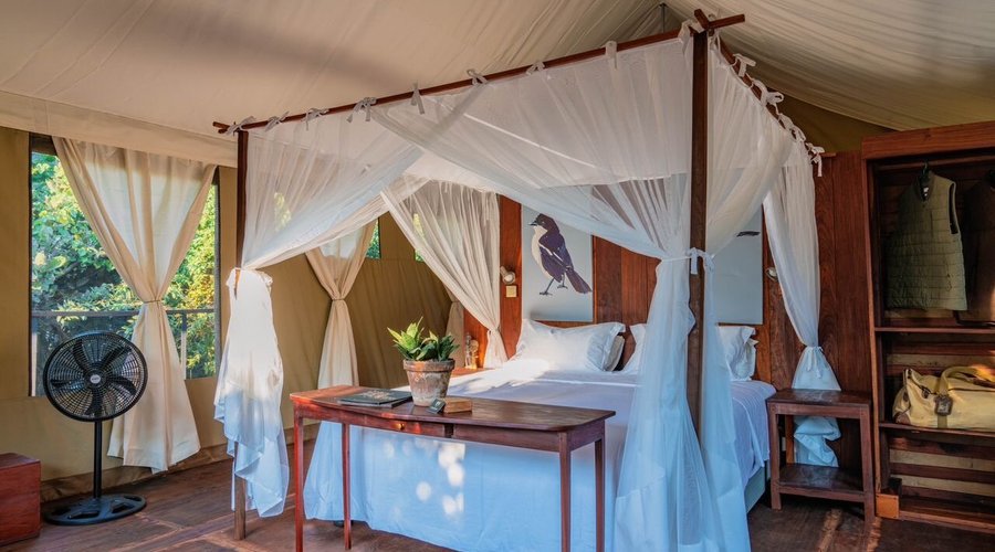 King size bed option