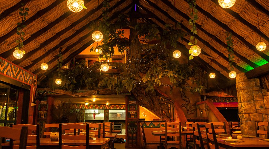 Located in the heart of the jungle, our restaurant provides a unique and tranquil escape.
