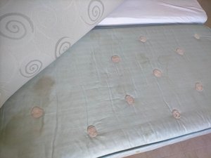 Viaggiatori