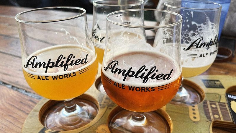 Beer flight at Amplified Ale Works