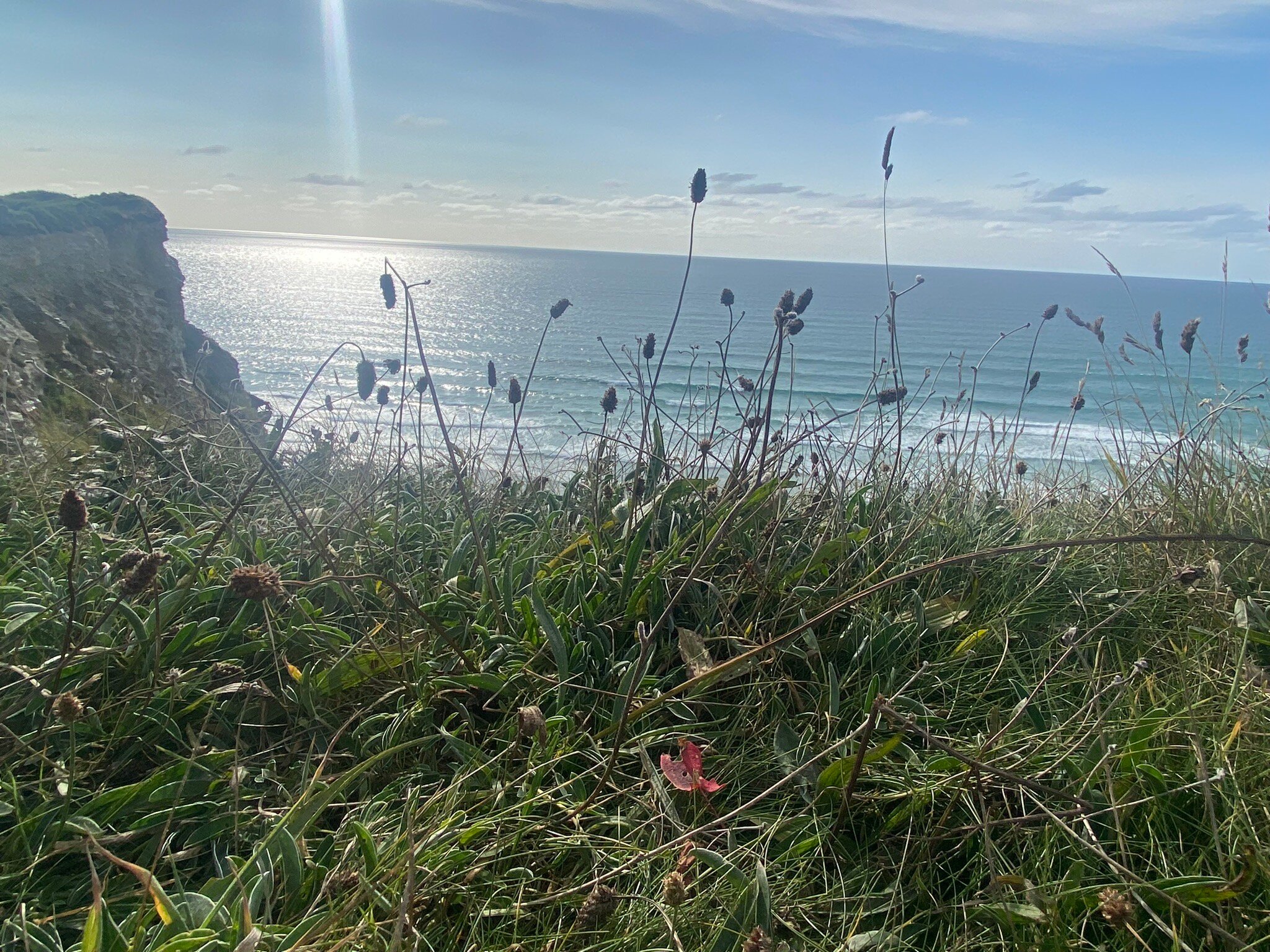 The view watergate bay new arrivals