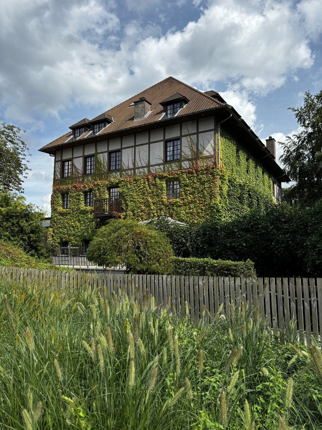 Unveiling the Charm A Comprehensive Review of La Butte aux Bois, Belgium