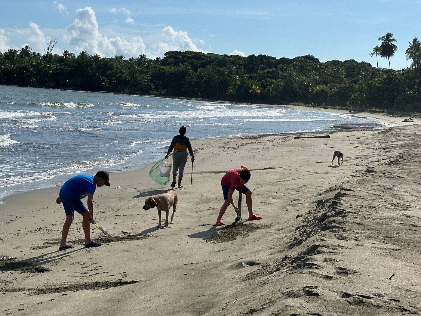 Camaroncito Ecoresort & Beach Hiking: Pictures & Reviews - Tripadvisor