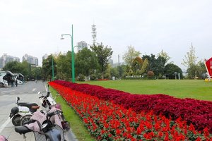 旅客