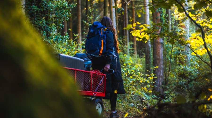 Make your way through the forest and up the track to your lodge.