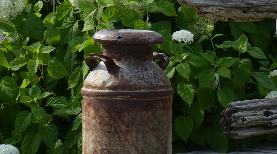 Plein d'objets intéressants.