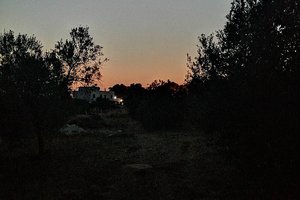 Viaggiatori