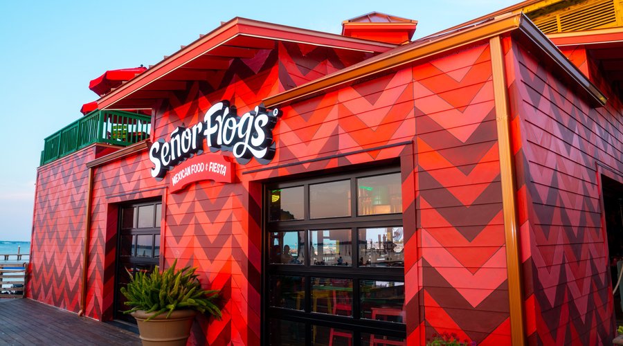 Señor Frog's Pensacola Beach