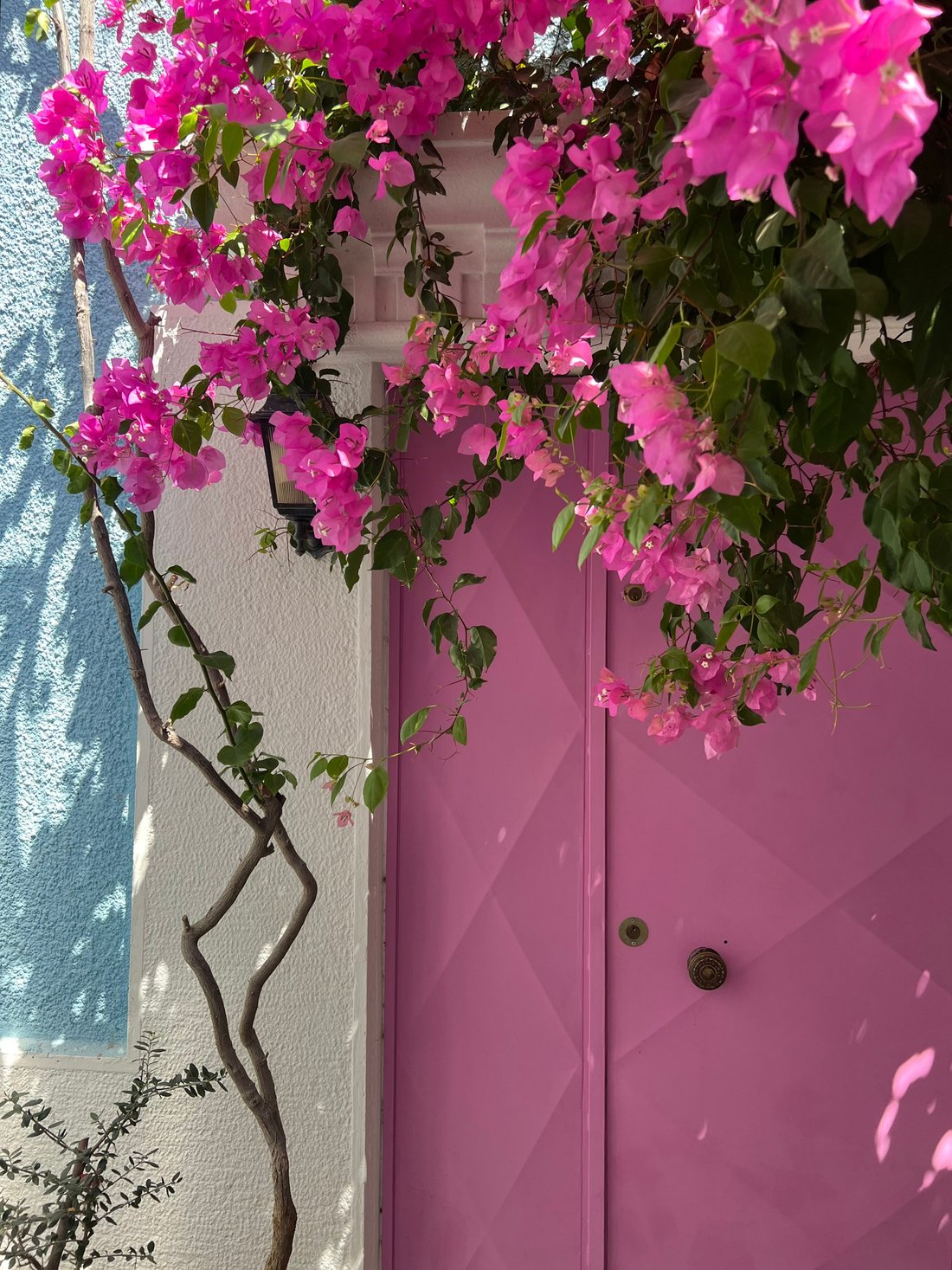 Casa Magnolia Boutique Rooms (쿠사다시) - 호텔 리뷰