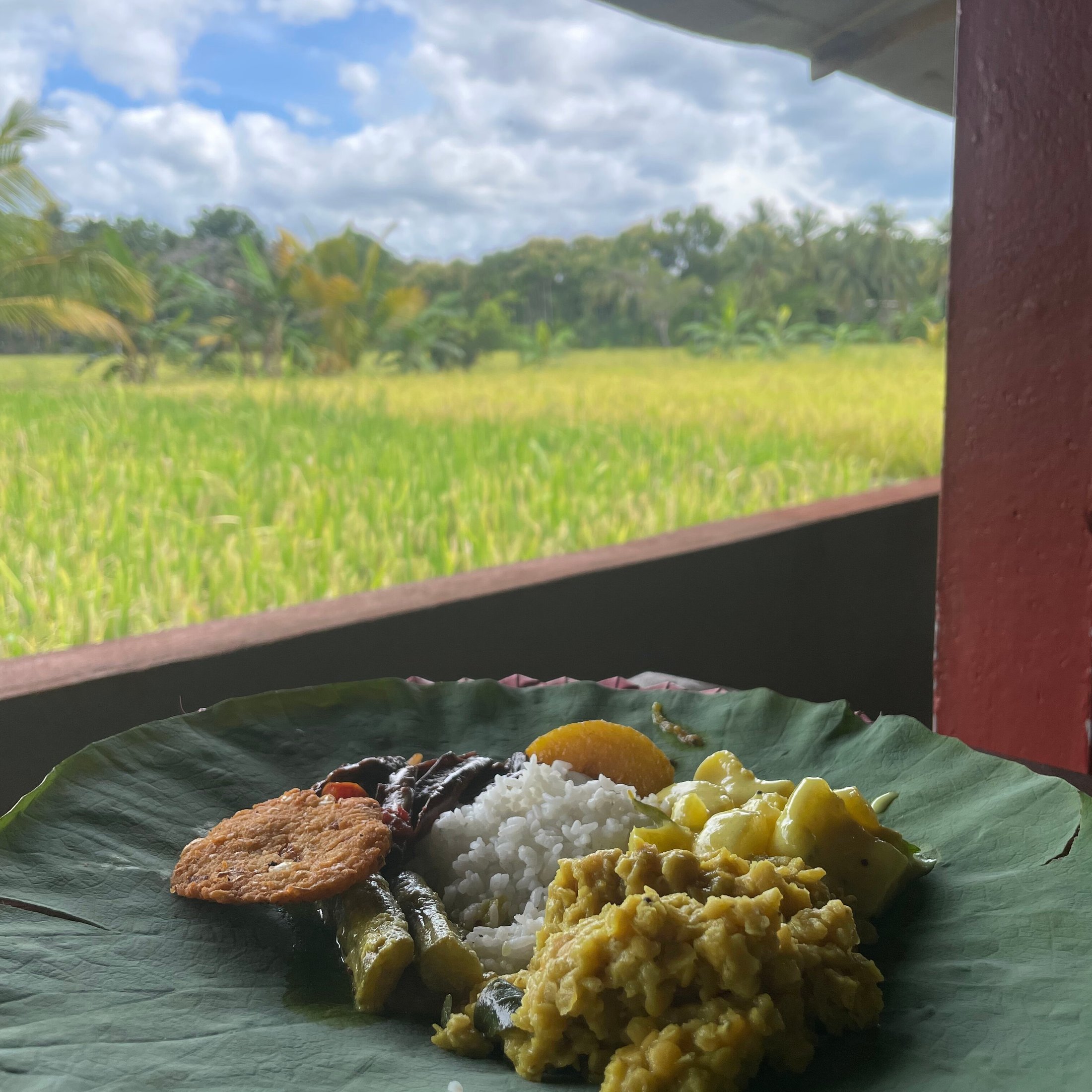 SARUKETHA, Polonnaruwa - Restaurant Reviews, Photos & Phone Number - Tripadvisor