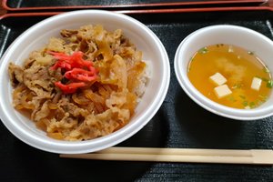 旅行者の写真