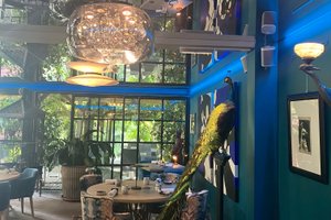 Comedor