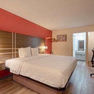 Guest room with king bed(s)