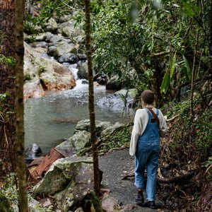 Walking Trails at Tamborine Mountain Glades 