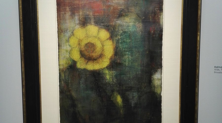 "Kaktusblüte" 1936 