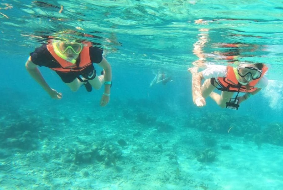 Turtle Tours Mexico - 아쿠말 - Turtle Tours Mexico의 리뷰 - 트립어드바이저
